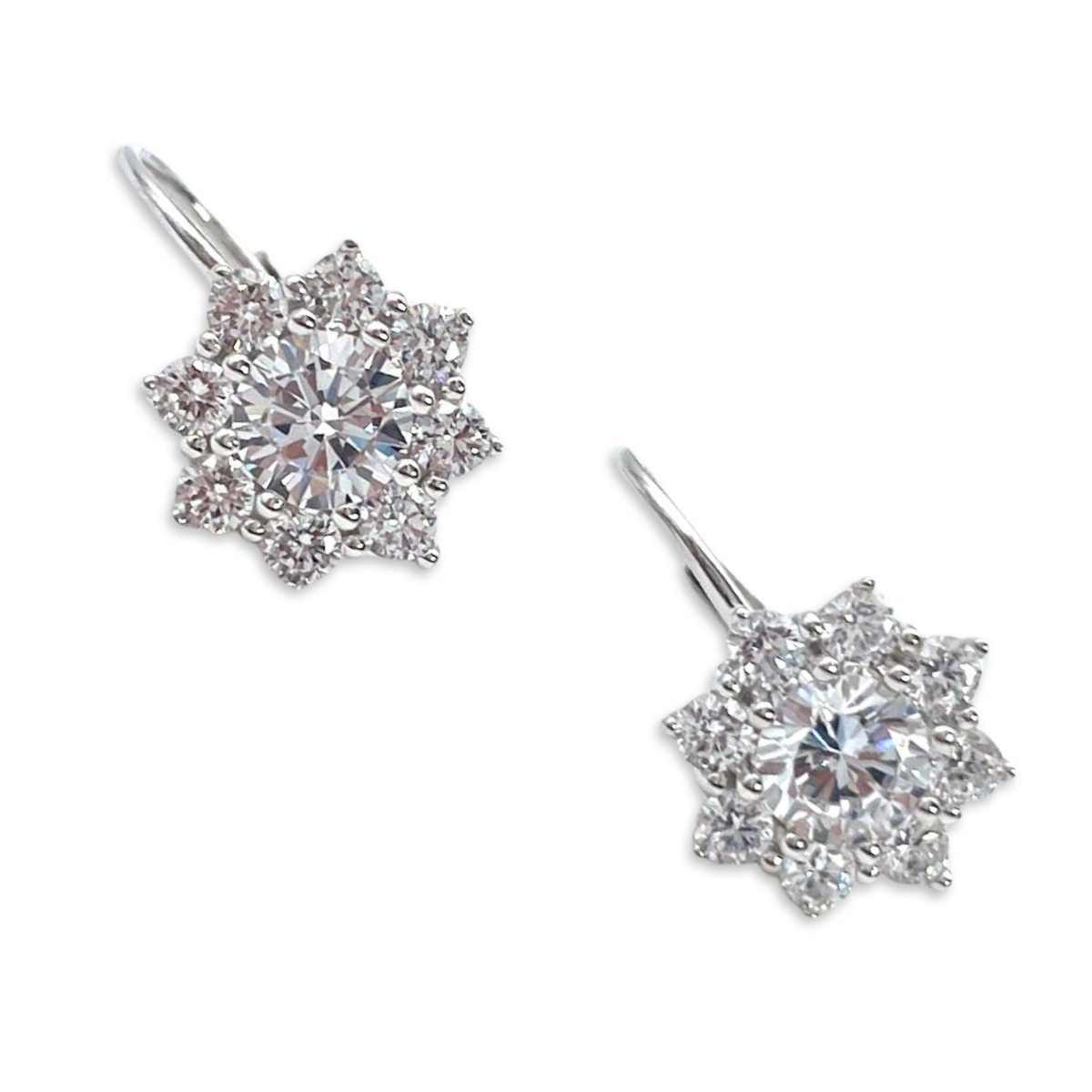 Flower Silver Earrings