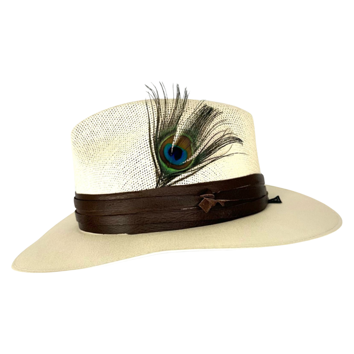 Tuluminati palm hat