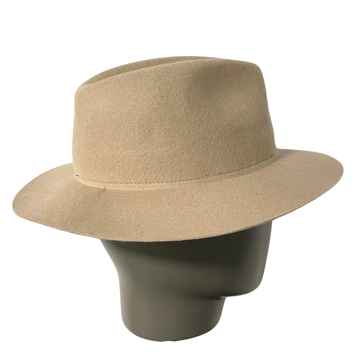 Travel Fedora Hat