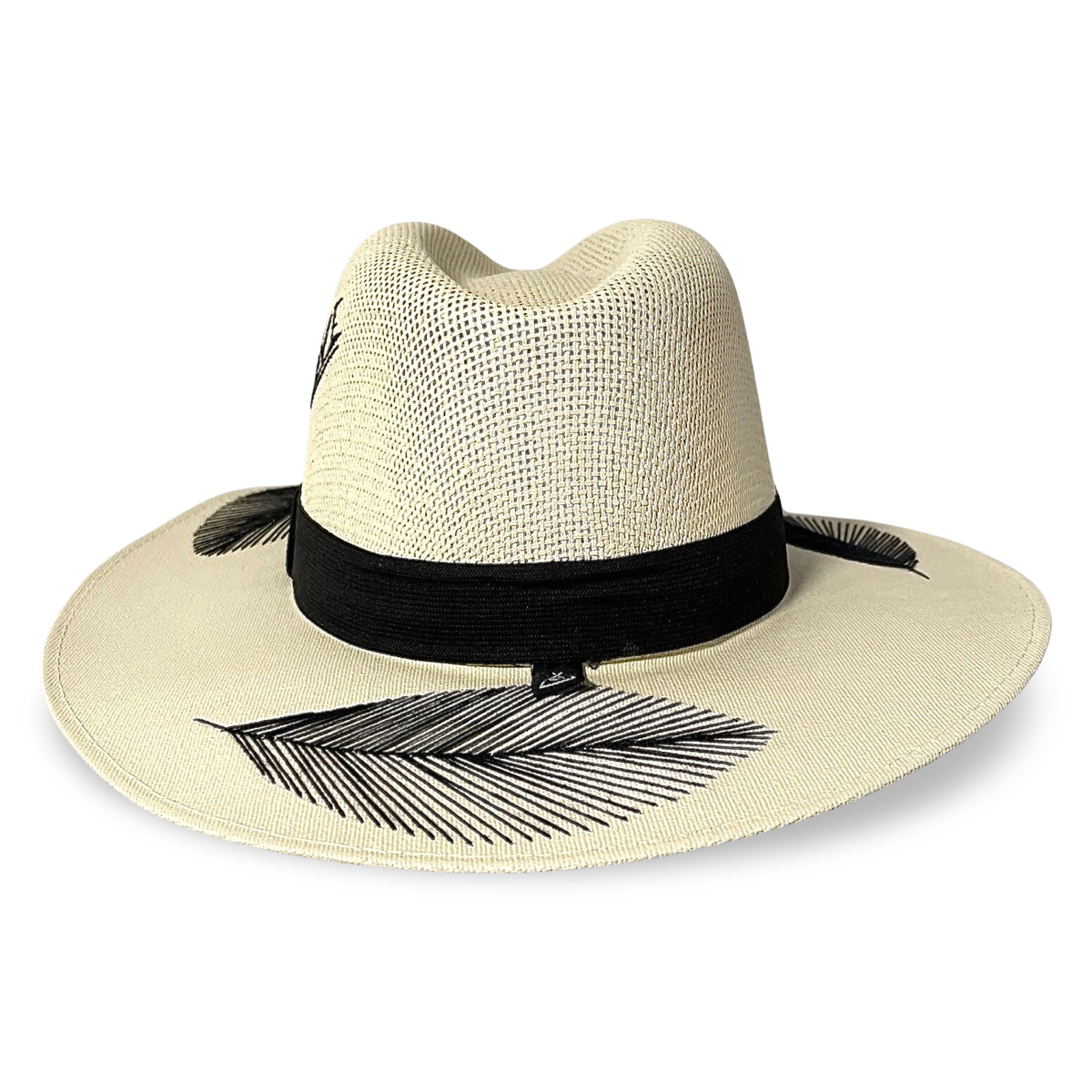 Tuluminati palm hat