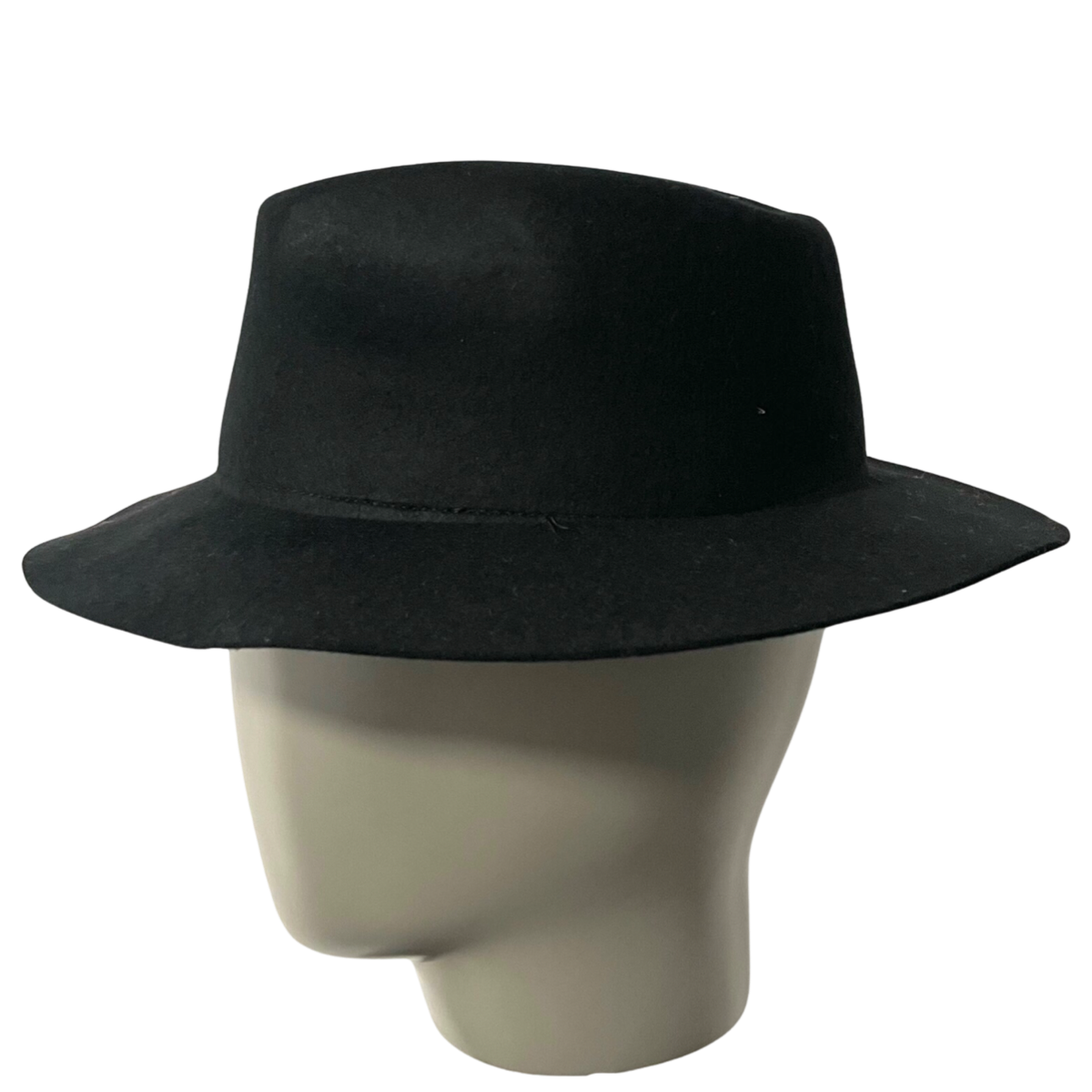 Travel black Fedora Hat