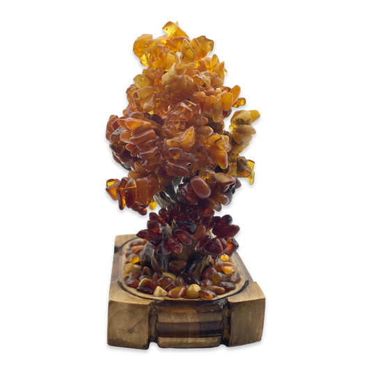 Amber tree bonsai